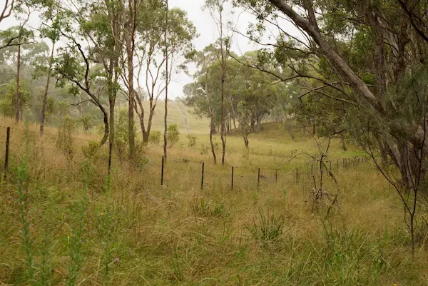 Dangar Gorge (29)